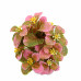Aranjament Floral, Roz, Plastic, 18Cm - Roz, Plastic, 18cm