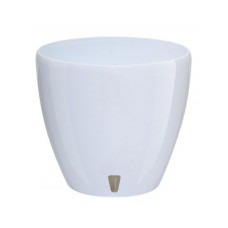 Ghiveci Deco, Engros